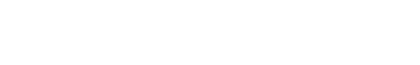 RMI Institute logo